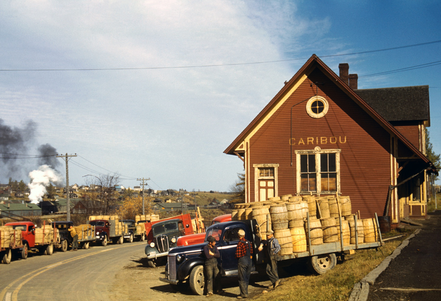 Potato Trucks at Caribou, Maine