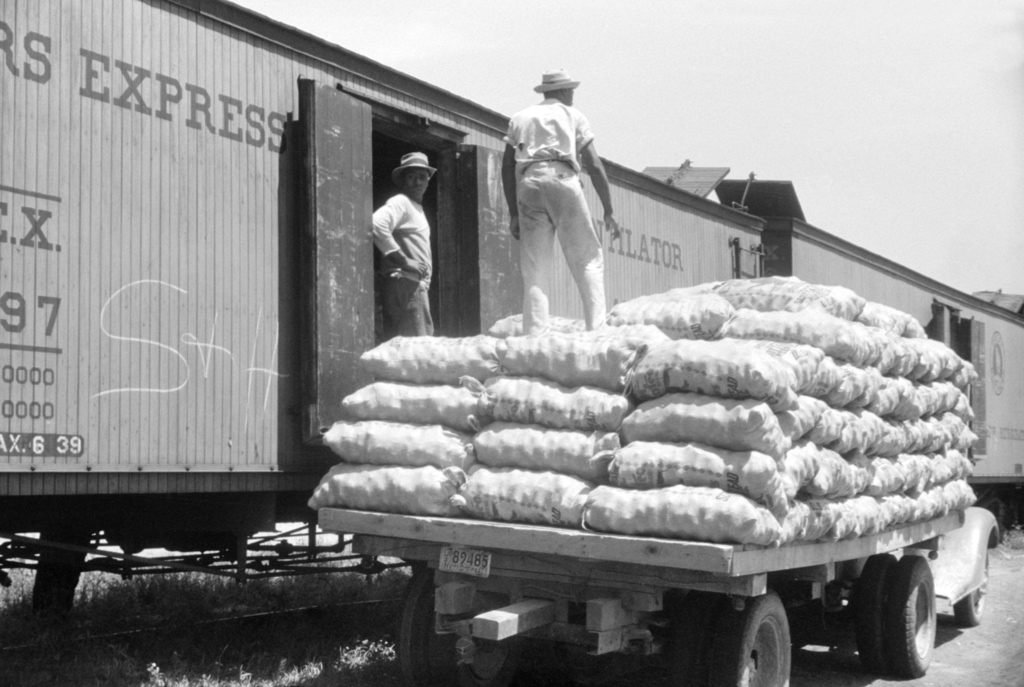 Loading Potatoes at Elizabeth City, NC