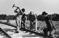 Image of track workers